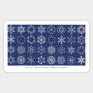 Snow Crystals Magnet